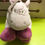 Miniature : poney Noukies jack