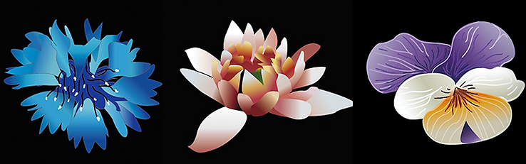 4.5 I use AI to draw flowers .jpg