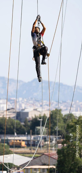 Petzl professional 1