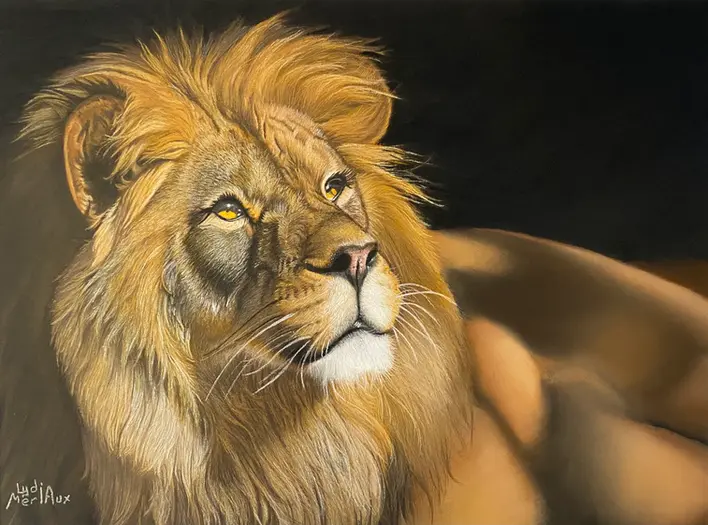 pastel sec représentant un lion couché. Fond noir