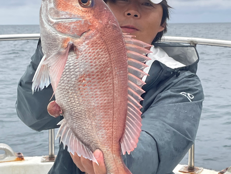 9/5 マダイ、アマダイ