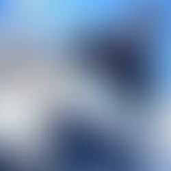 11/5  寒ブリジギング👌