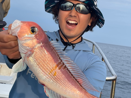 6/30 真鯛😄甘鯛🤣