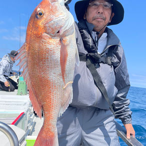 6/6  マダイと甘鯛