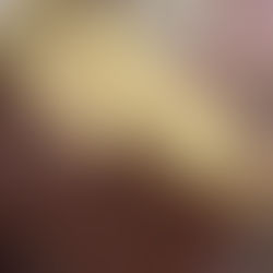 Chocolate Pudding with Biscuit Layers x LUXURY Calcium Cracker