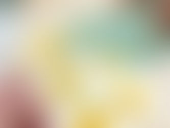 Mango cheesekut x HwaTai LUXURY Calcium Cracker 