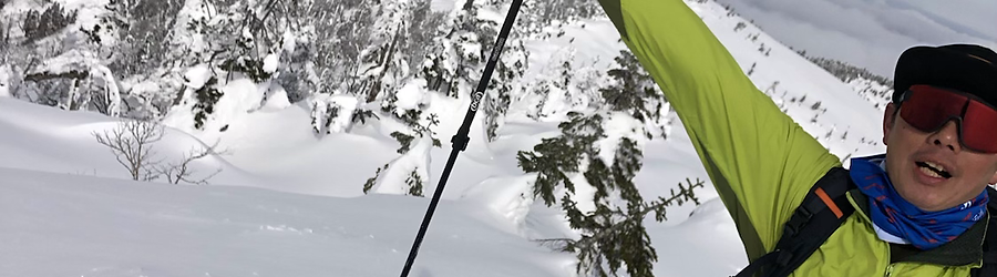 かつみ様専用】アルマダバックカントリースキーセット一式