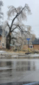 Township Cleanup Debris