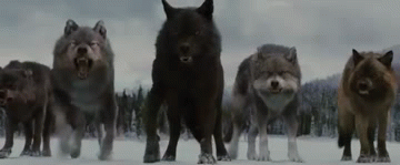 808e4273ba8e4a1634f36fe24cce7809.gif