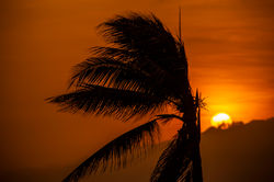 ATARDECER JULIO