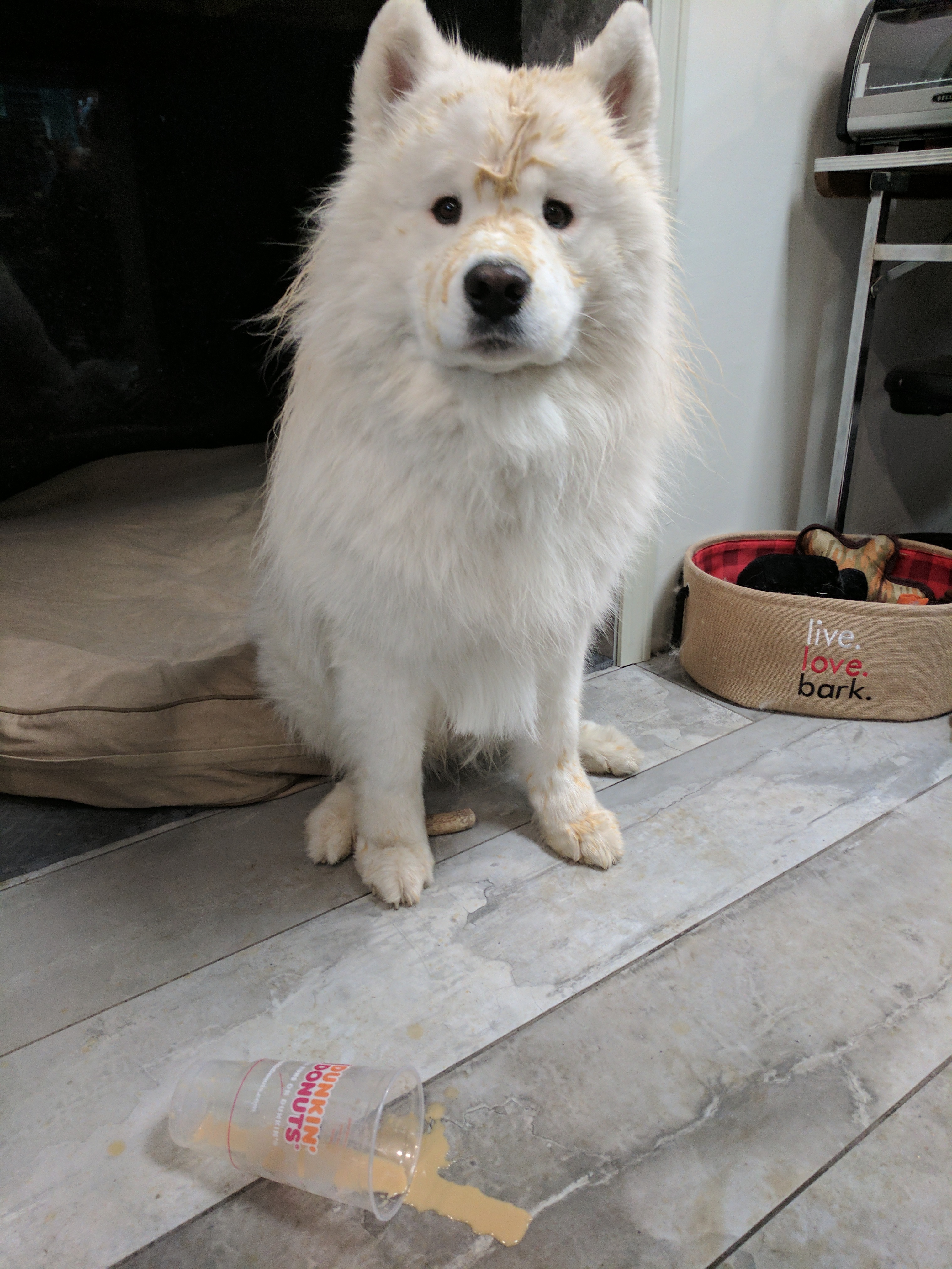 Kodiak