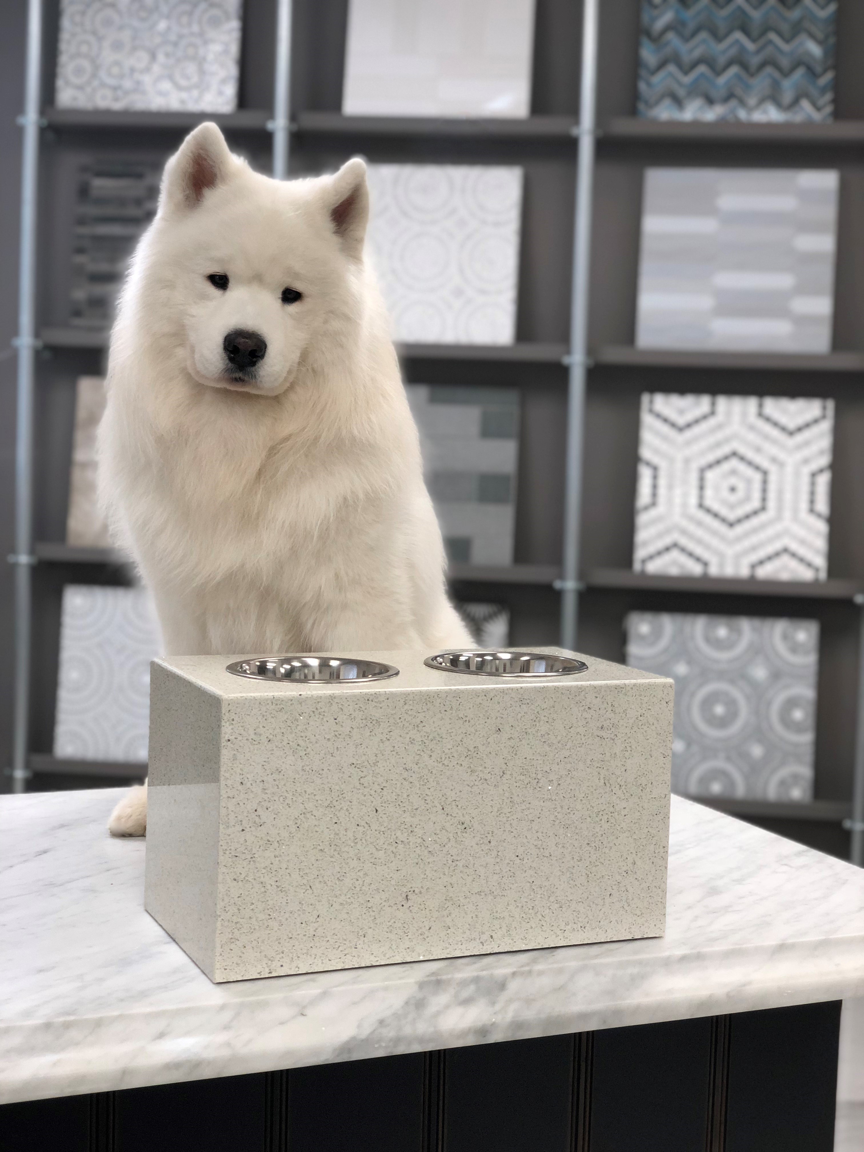 Kodiak's Stone Snack Stand