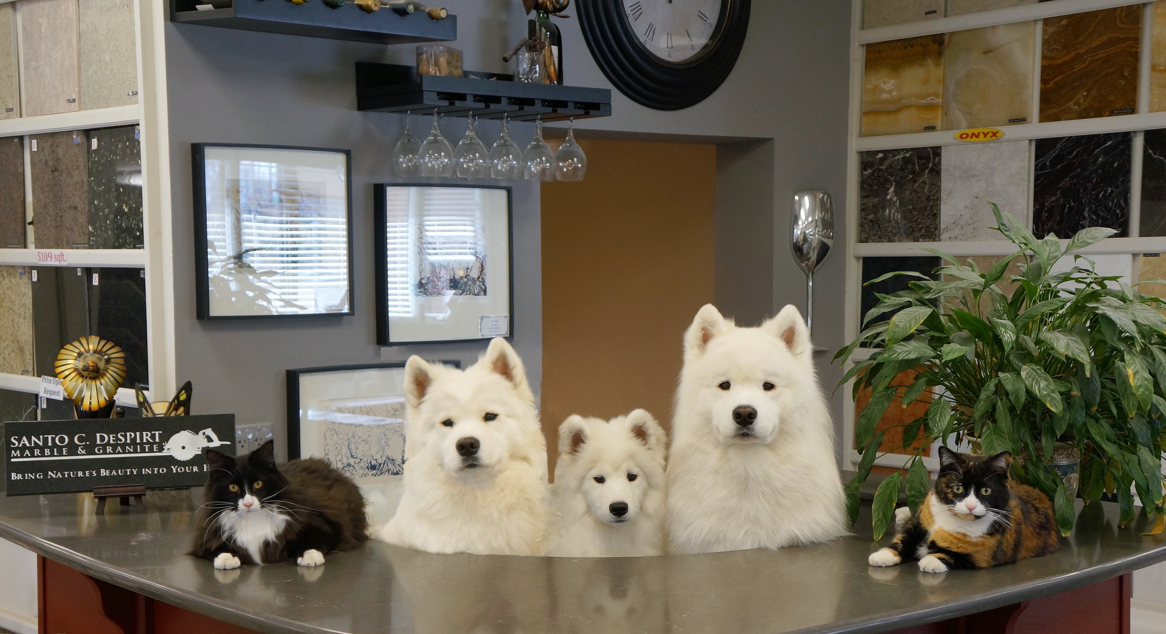 Welcoming Crew