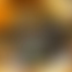 【秋キャンプ これさえあれば安心5選】