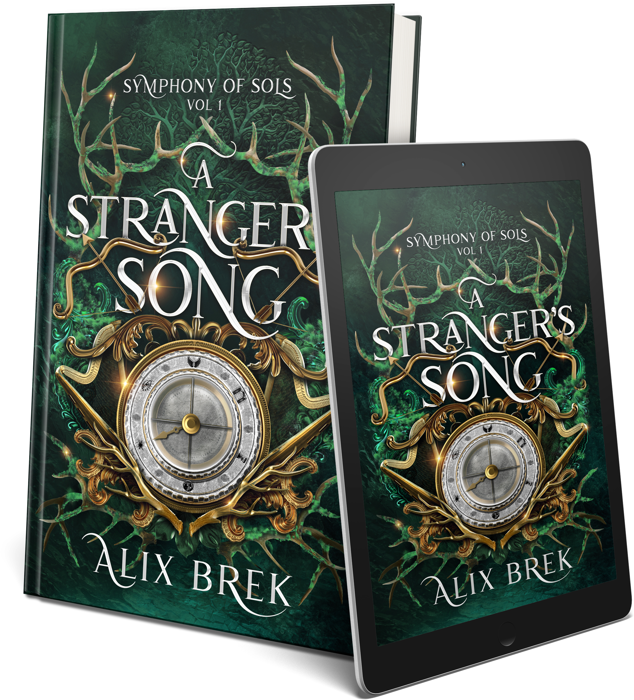 A Stranger's Song