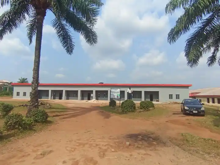 The new block on the school grounds, seen past the palms