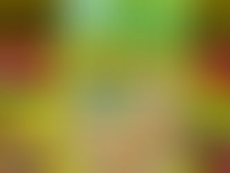 人気者につられる