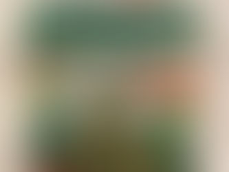 Whole Foodsでみつけた優れもの。