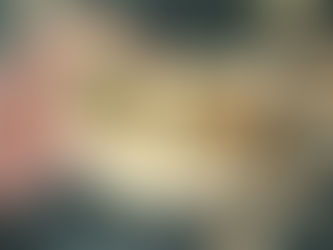 Tokyo Centralでセールだったから。