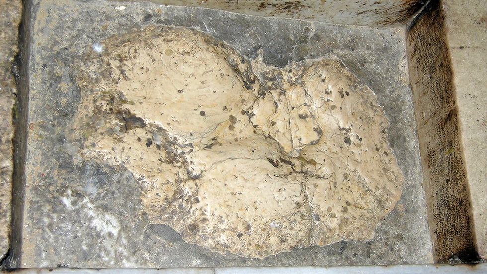 La huella