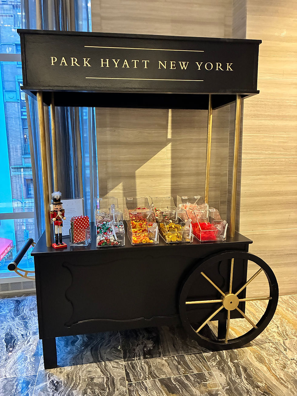 Elevating the Art of Urban Luxury: My Exclusive Tour of Park Hyatt New York