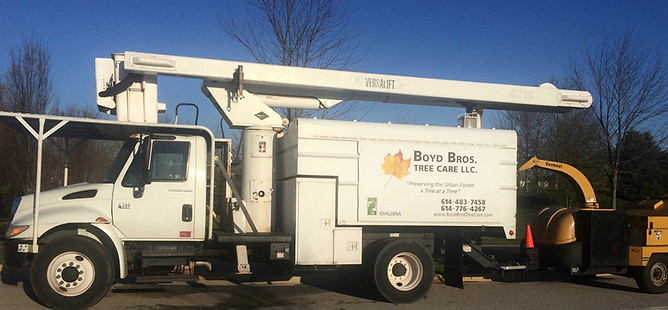 Tree Pruning Arborist Columbus OH