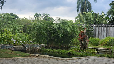 20260925_173350.jpg