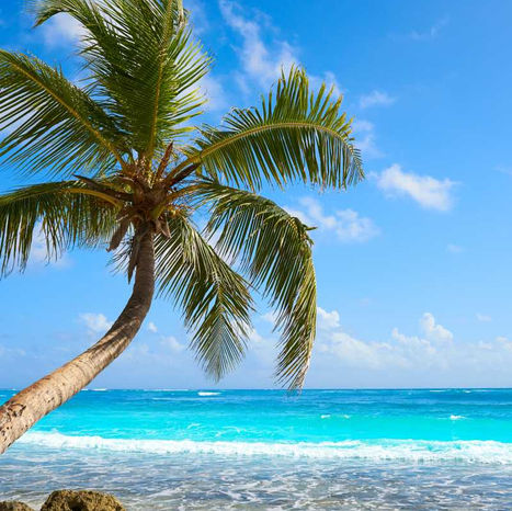 Pineapple Rum Drinks: The Official Cocktails of Summer