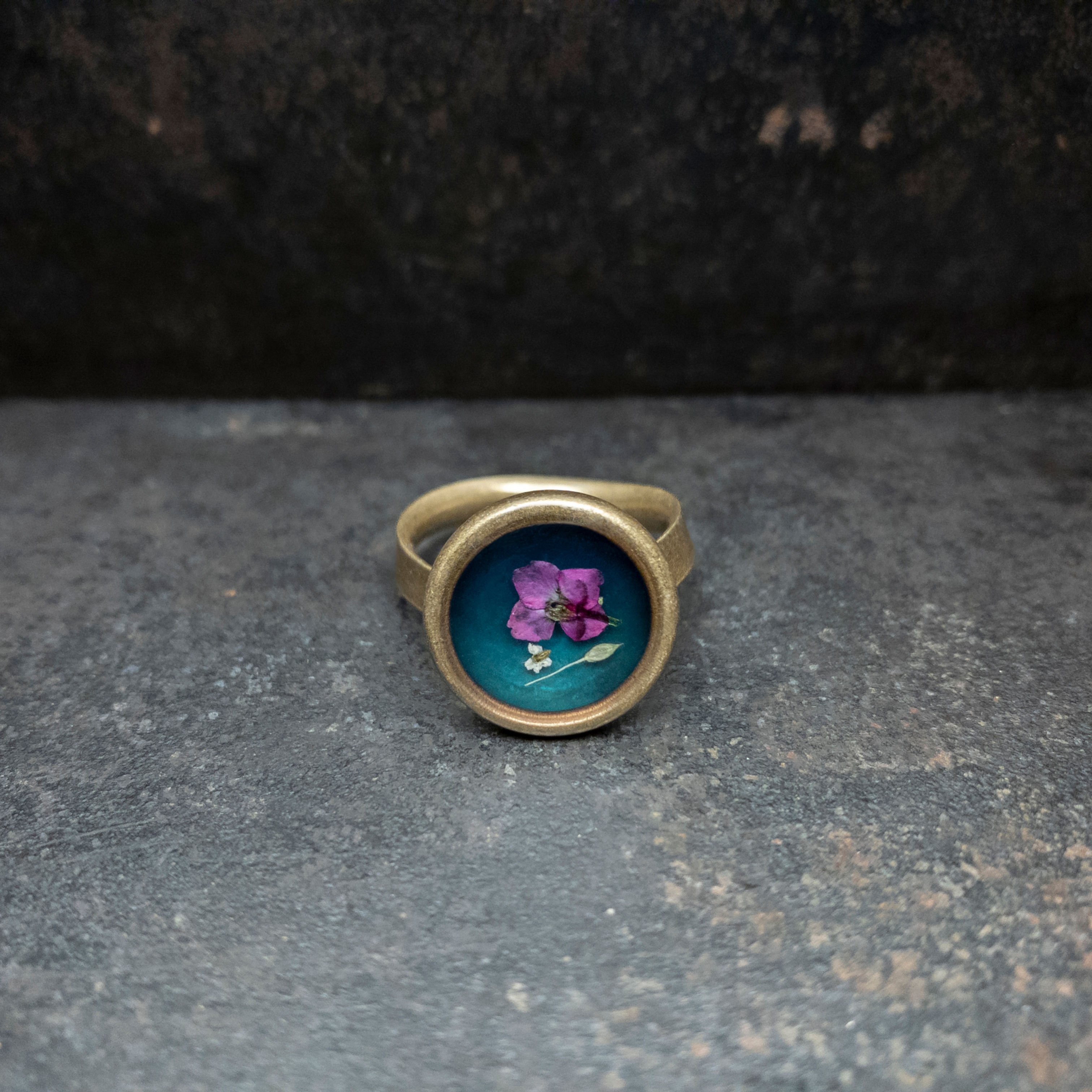 Calypso - Alysse odorante, Carotte sauvage et Graminée