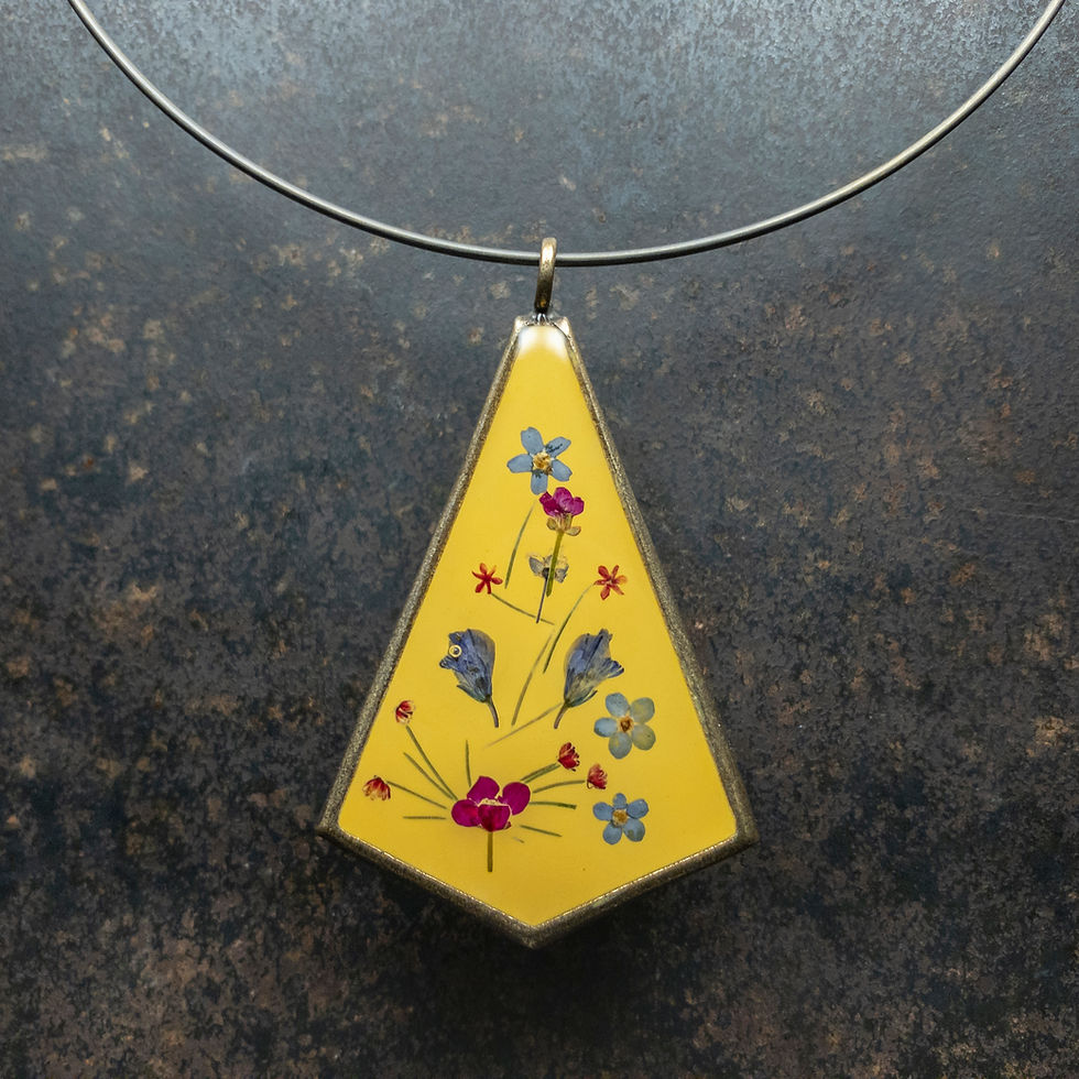 ANCOLIE - Myosotis, Alysson des montagnes, Carotte sauvage, Polygala, Alysse