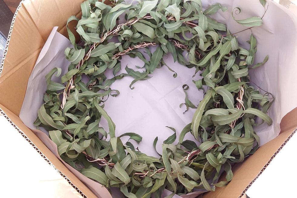 サムネイル： ユーカリリース