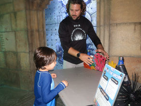 Sharing Reef Conservation Through Education at Atlantis