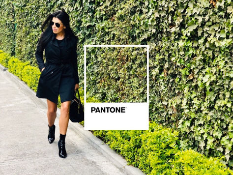 My Pantone Style by Michelle Mackliff