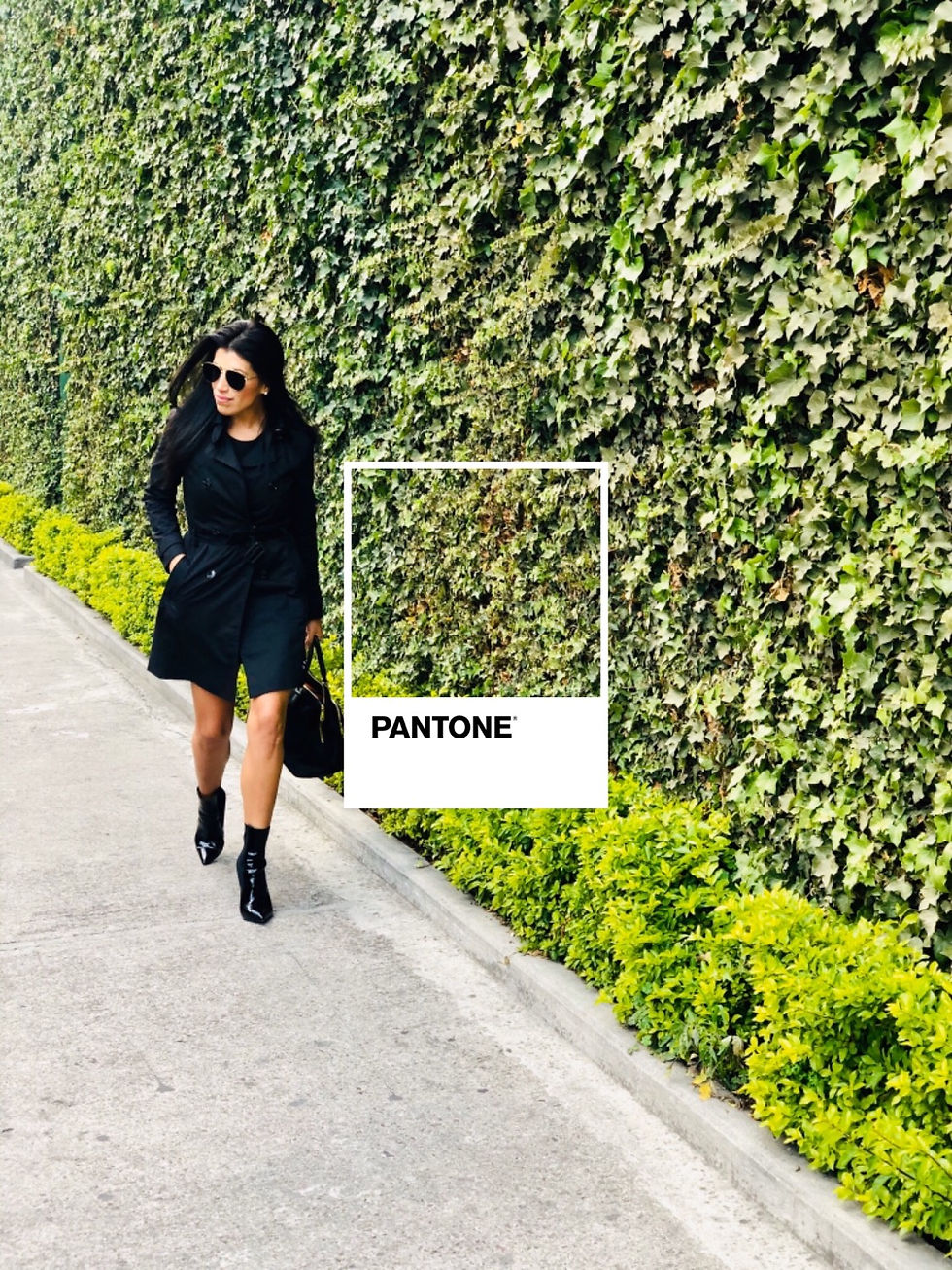 My Pantone Style by Michelle Mackliff