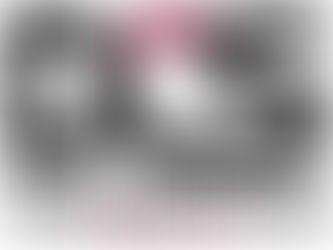 Delena Construction Services, LLC Newest DBE Client