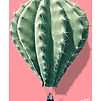 6 AirBalloon copy.JPG