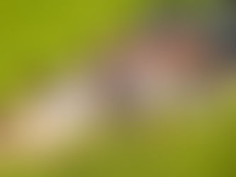 8 College Campus Safety Tips