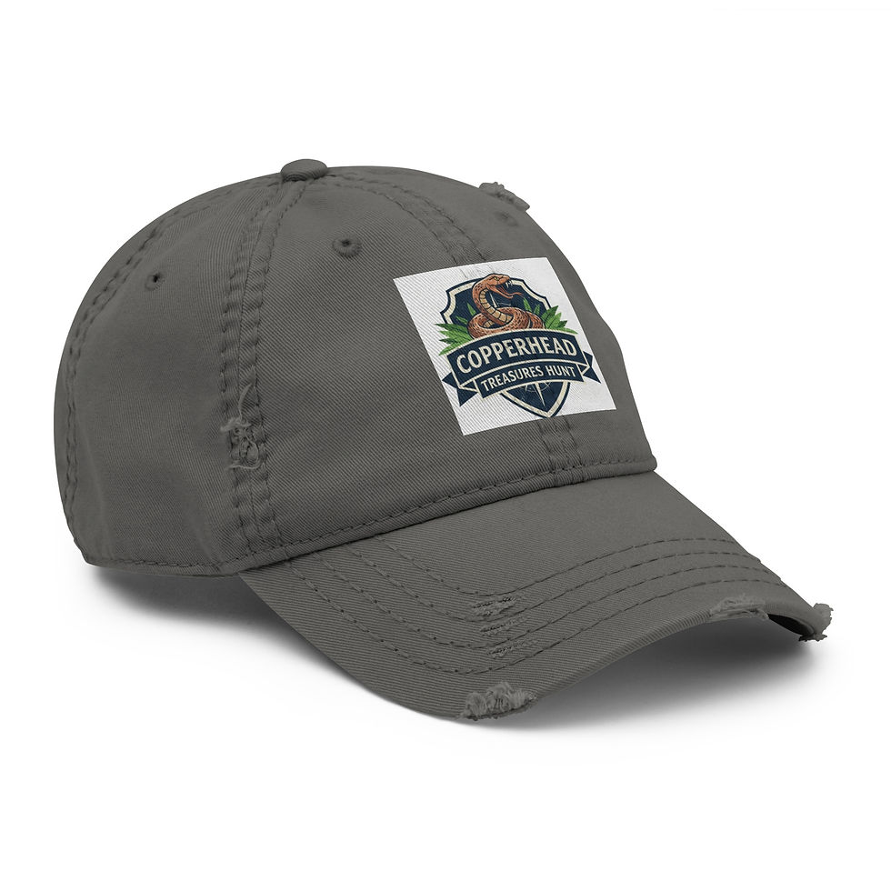 Thumbnail: Distressed Copperhead Treasures LLC hat