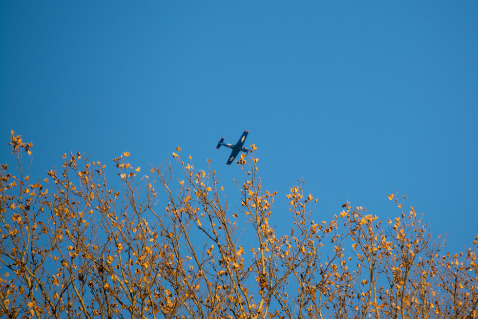 samuelspringer_ww2_plane