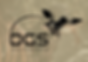 DGS.png