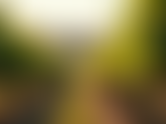 Explore Southwest Michigan's Best Wineries and Breweries