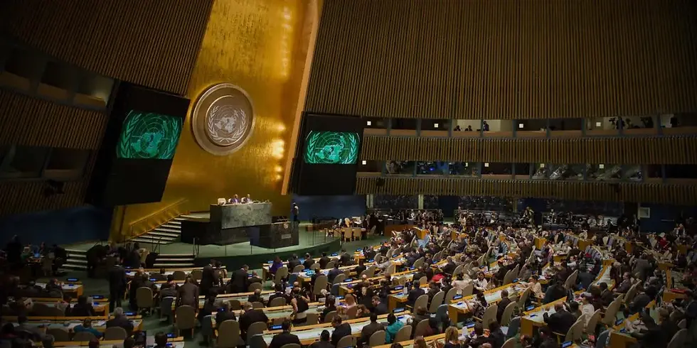 Picture of actual UN DISEC Committee