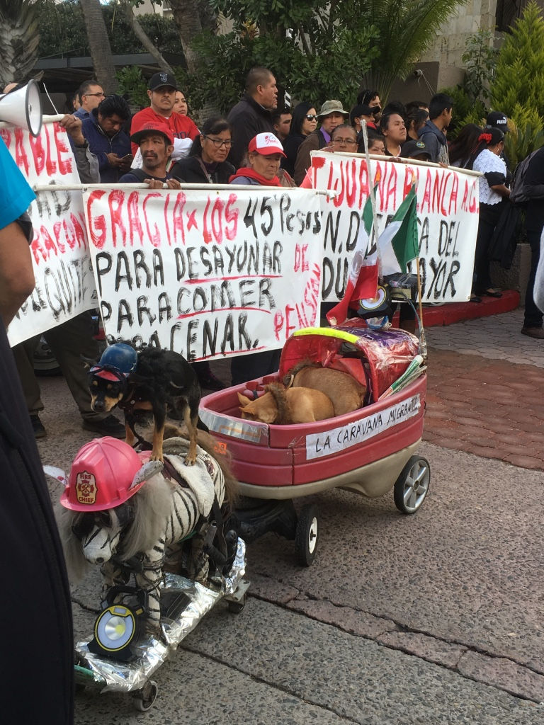 Manifestaciones de Xenofobia en tiempos