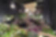 A53I7194.JPG