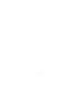 pattern 7 white RGB.png