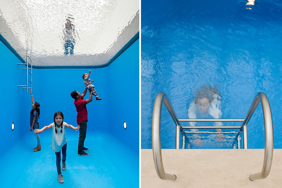 Leandro Erlich's Swimming Pool