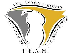 TEAM final for web site.jpg