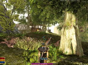 Gothic 2: New Balance - Více aktualizací + Nová čeština