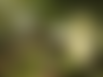 Gothic 2: New Balance – More Updates + New Czech Translation