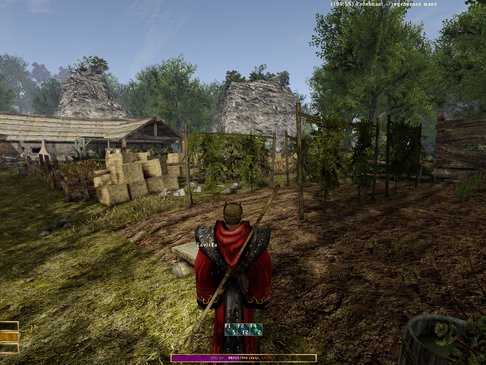 Gothic 2: New Balance - Update  28.7.2025